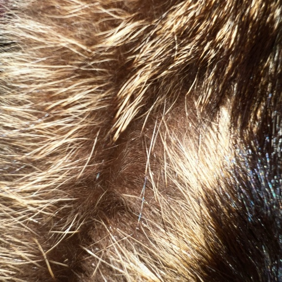 Vintage Penny Lane Suede and Fur Jacket - Picture 8 of 16